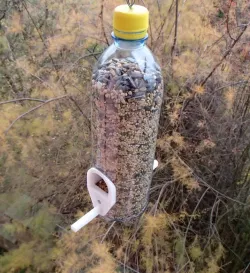 PET Bottle Bird Feeder