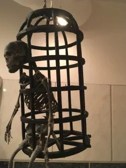 Pirate cage for skeleton