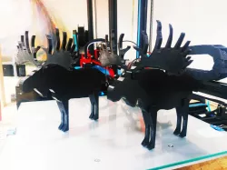 Swedish Moose (Deer)