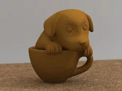 teacup puppy