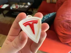 Tesla Keychain