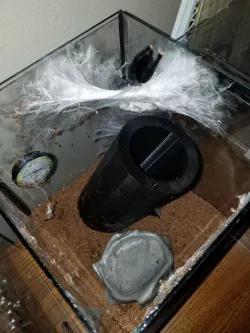 Arachno-Tube