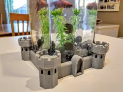 Betta Fish Castle