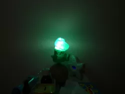 Dinosaur Lamp Shade