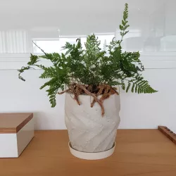 Dodecagonal Wave Planter