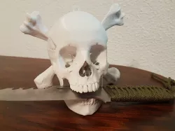 Human Skull to hang on wall, Pirate style