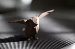 Low Poly Owl