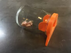 Mouse trap