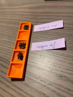 Screws organizer