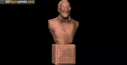 Stan Lee Bust