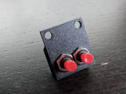 2 Button Switch Box