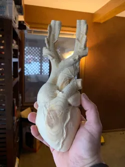 Anatomical Heart CNC Flat Back