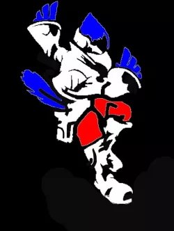 Falco Stencil