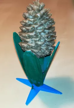 hyacinth, Finnish christmas flower