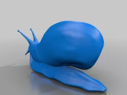 snail