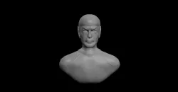Spock bust