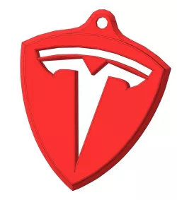 Tesla key ring