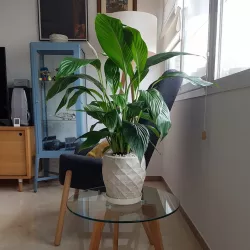 Yoshimura Crease Pattern Concrete Planter