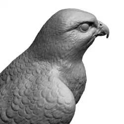 3D model falcon bird basic shape Low-poly  3D model
