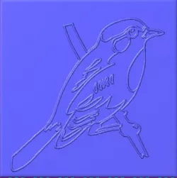 bird art