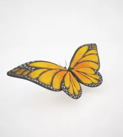 Butterfly 3D model