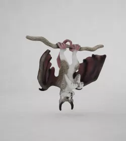 Cat Bat Rat 3D model
