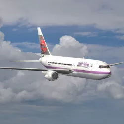 Commercial Passenger Aircraft 767 for Poser 3D model
