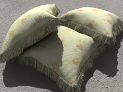 Cushion