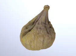 Dry Fig 3D model