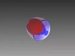 eyeball