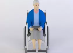 FEM 38 3D MODEL Low-poly  3D model