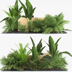 flowerbed palm 3D model