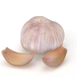 Garlic and garlic cloves 3D model