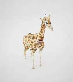 Giraffe 3D model