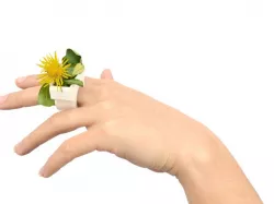 Grass ring