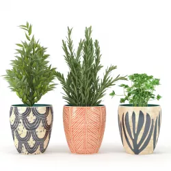 Kitchen plants 3D model