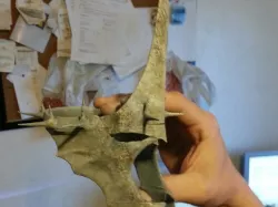 Lord of The Rings Witch King Helm