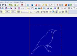 master cam bird