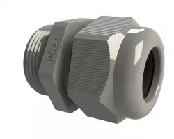 PG21 Skin Top Gland