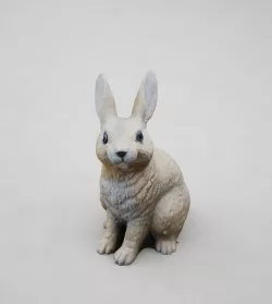 Rabbit 3D model