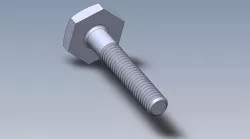 Screw