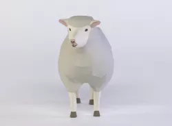 SHEEPS 3D MODEL Low-poly  3D model