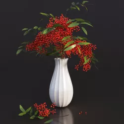 Sorbus branches 3D model