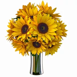 Sunflower bouquet 3D model