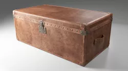 Trunk 3D model