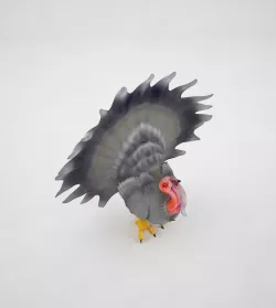 Turkey 3D model