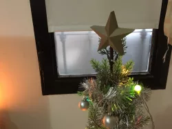 Christmas Star