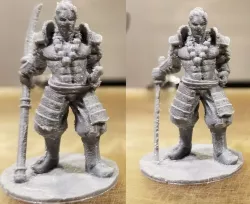D&D Human Samurai Fighter \ Kensei Monk