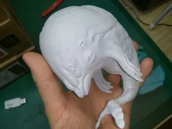 Dolphine