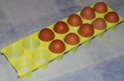 Egg holder (extensible and customizable)